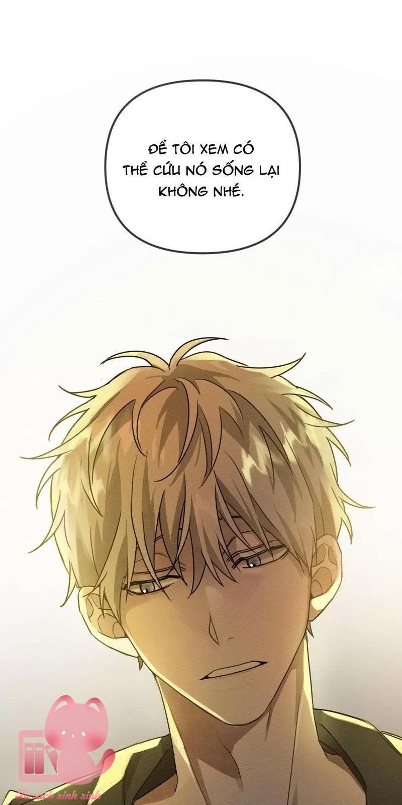 Dưới Tán Cây Sồi Chapter 18 - Next Chapter 19