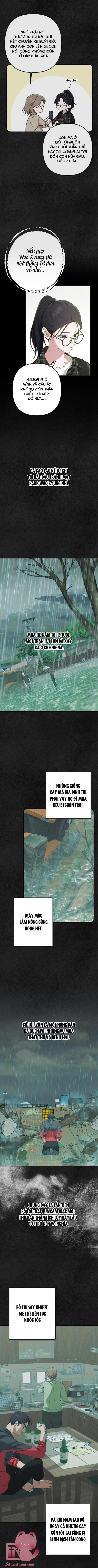 Bóng Râm Mùa Xuân Chapter 8 - Next Chap 9