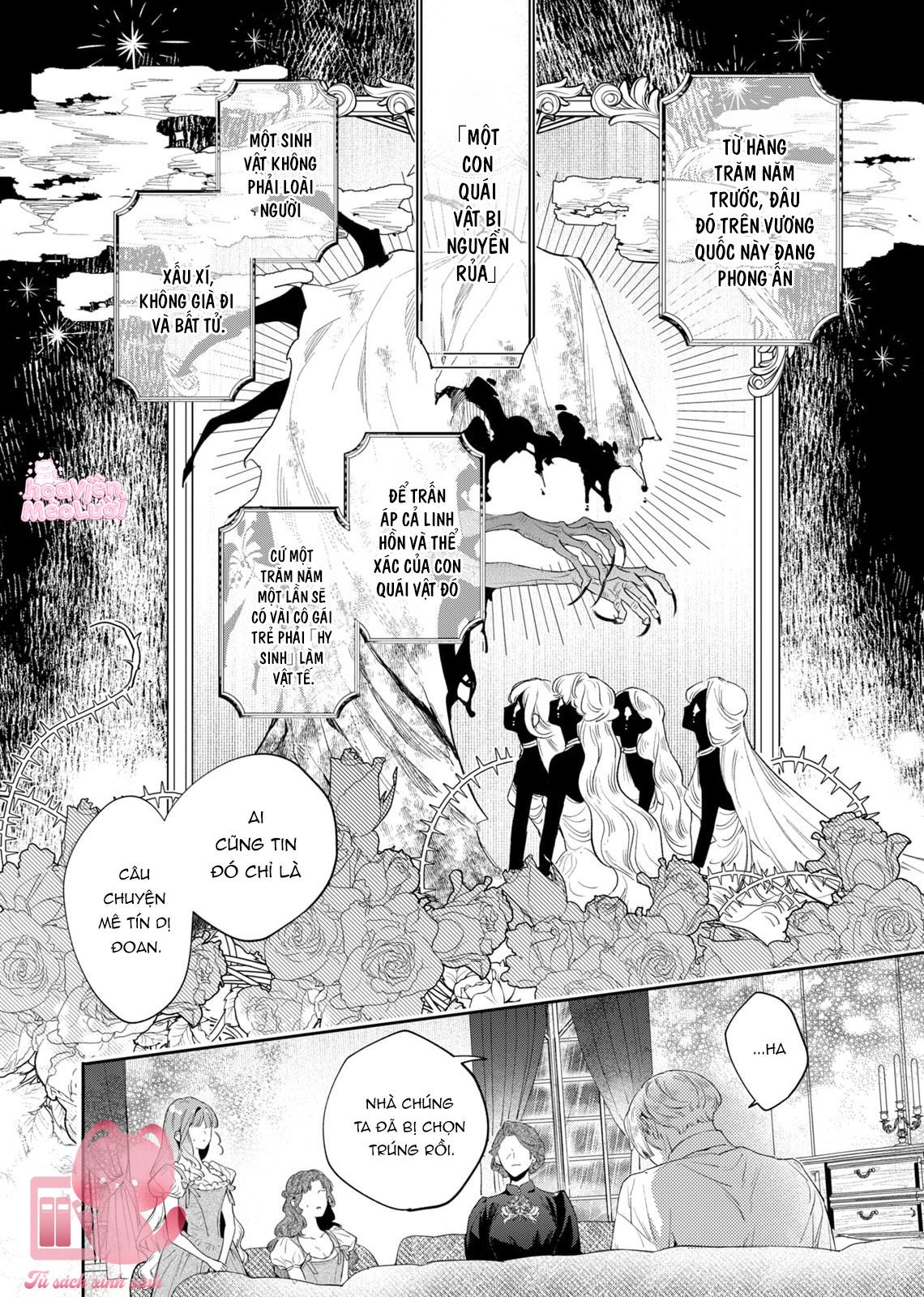 Hoa Hồng Ẩn Giấu Sao Băng Chapter 1 - Trang 4