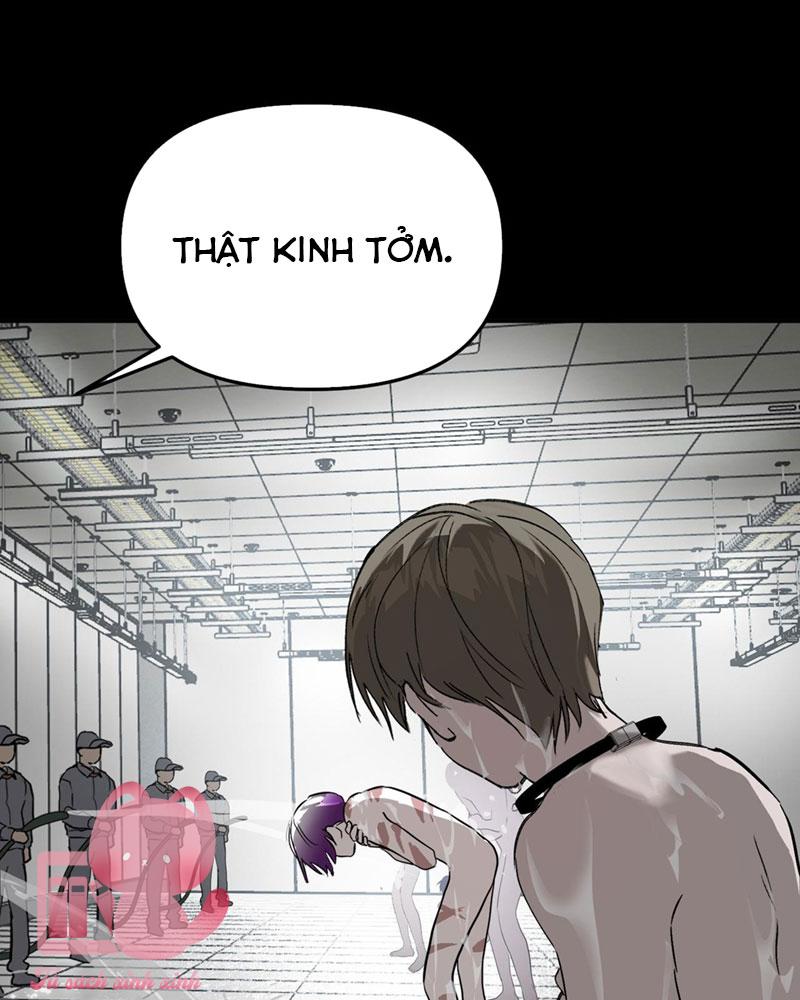 Ác Chi Hoàn Chapter 17 - Next Chapter 18