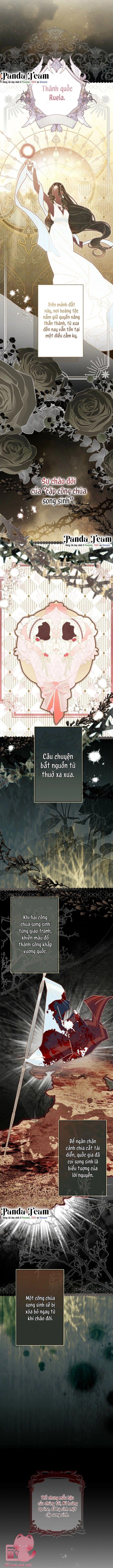 Kiếp Này Em Sẽ Không Sống Dưới Cái Bóng Của Người Chị Song Sinh Chap 2 - Trang 3