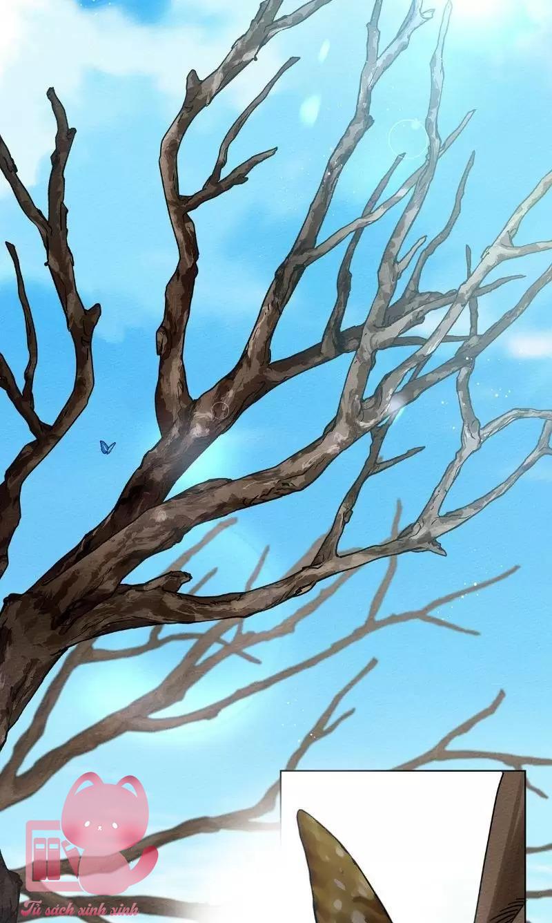 Dưới Tán Cây Sồi Chapter 16 - Next Chapter 17