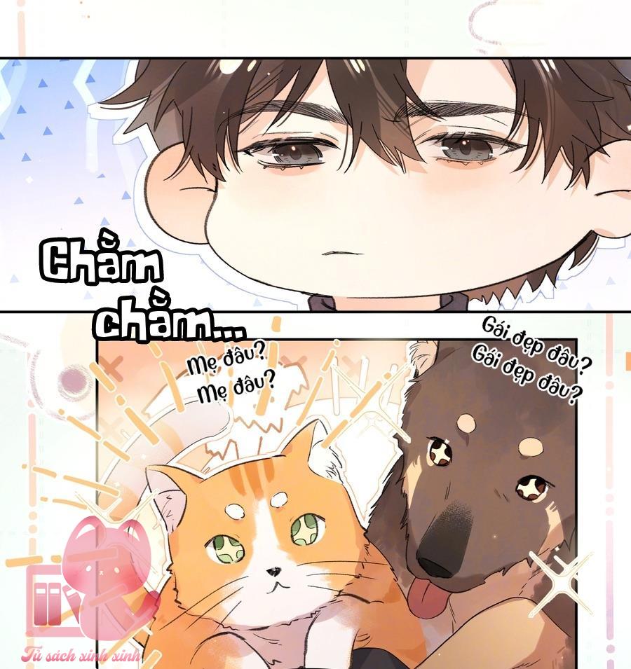 Tỏ Tình Chapter 54 - Trang 4