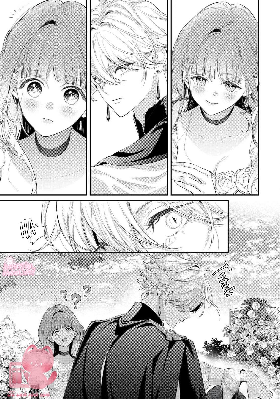 Hoa Hồng Ẩn Giấu Sao Băng Chapter 12 - Trang 4