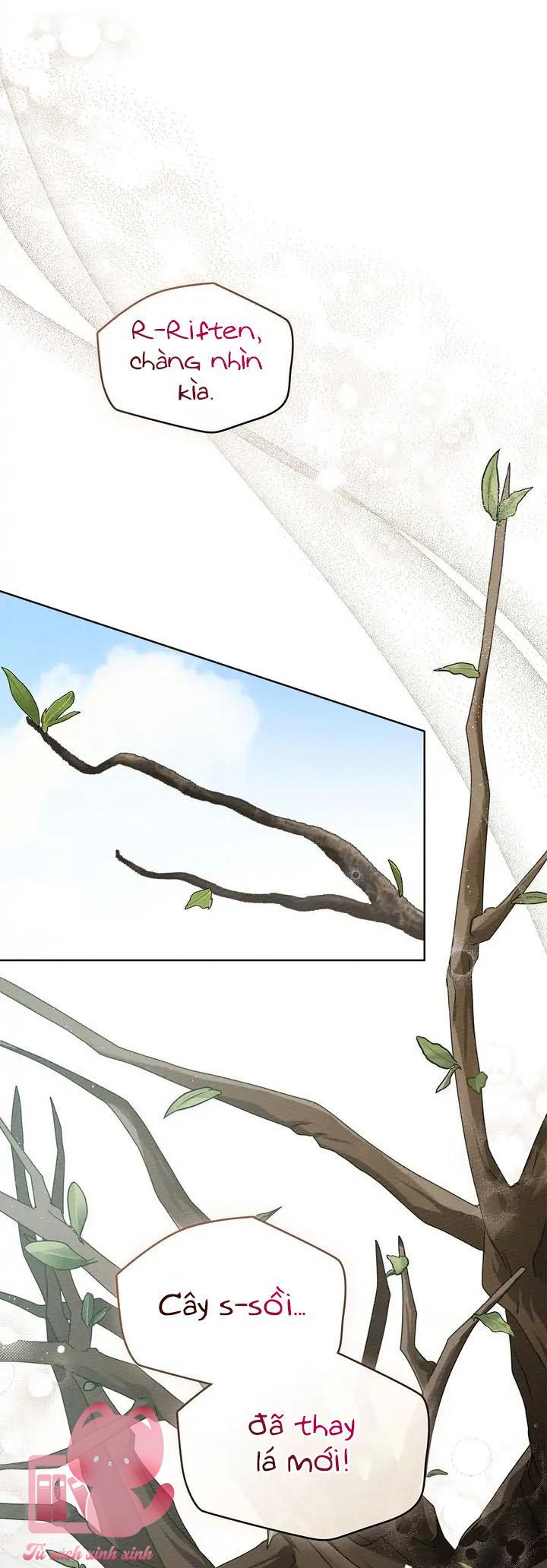 Dưới Tán Cây Sồi Chapter 78 - Trang 3