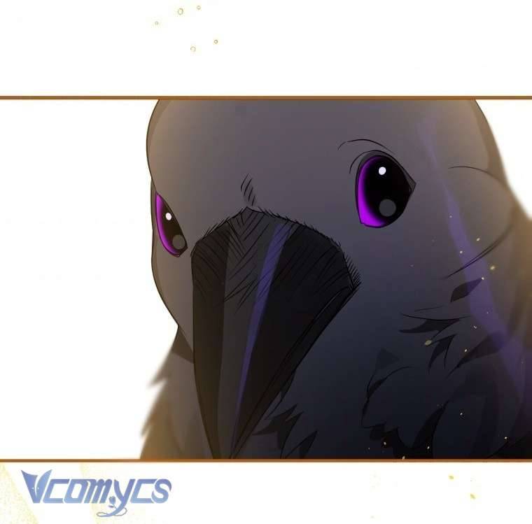 Bỗng Nhiên Tôi Trở Thành Quạ Đen!! Chapter 6 - Trang 4