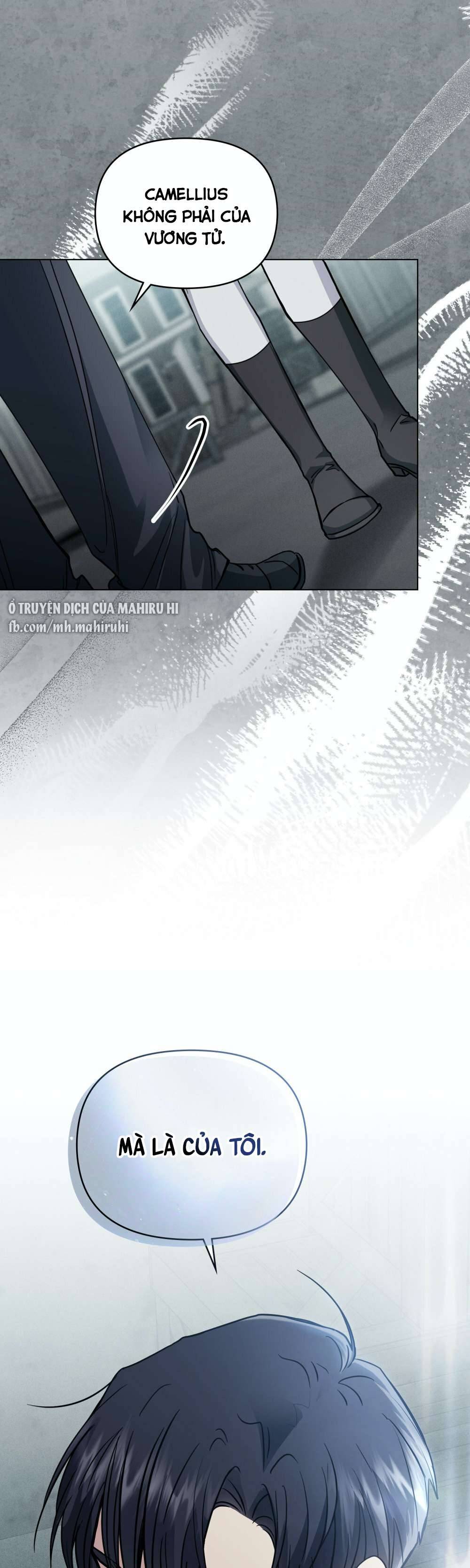 Tìm Lại Camellia Chapter 47 - Next Chapter 48