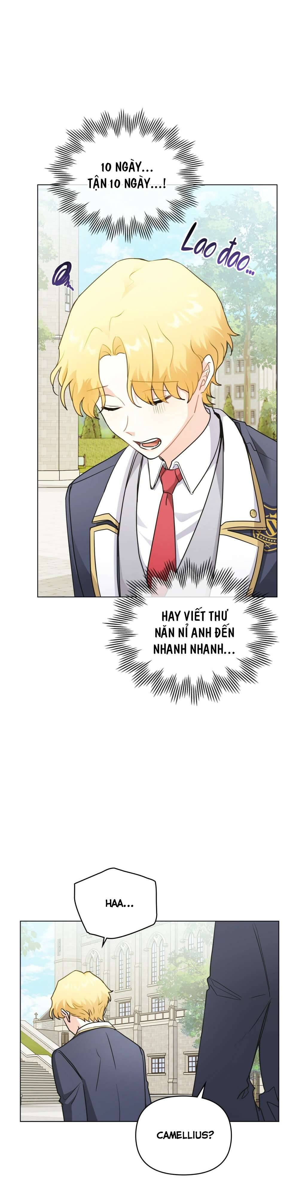 Tìm Lại Camellia Chapter 36 - Next Chapter 37