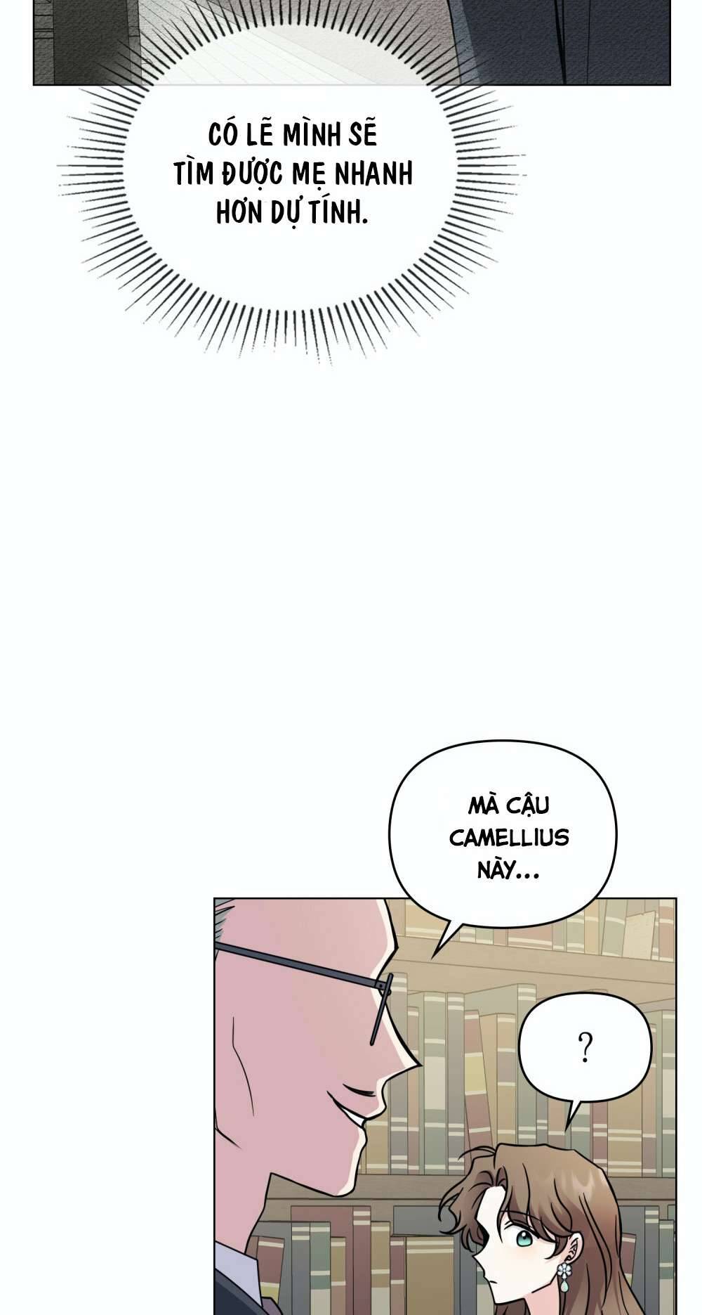 Tìm Lại Camellia Chapter 41 - Next Chapter 42