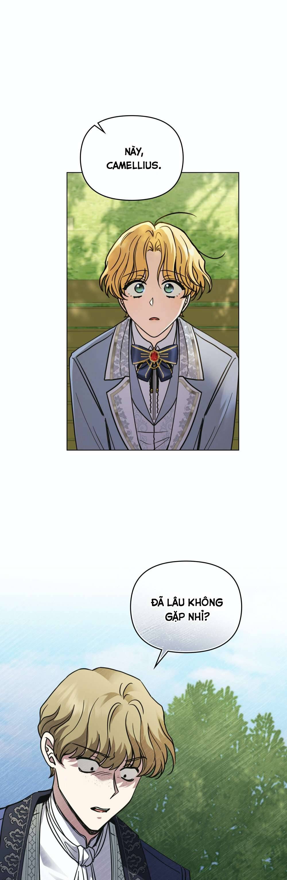 Tìm Lại Camellia Chapter 55 - Next Chapter 56