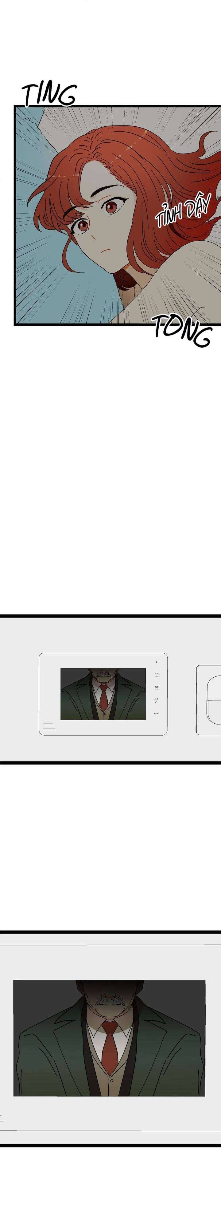 Giả Mạo Theo Phong Cách Chapter 23 - Trang 4