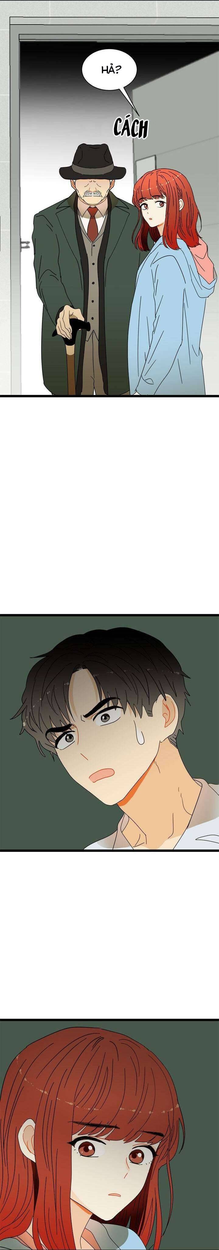 Giả Mạo Theo Phong Cách Chapter 23 - Trang 4