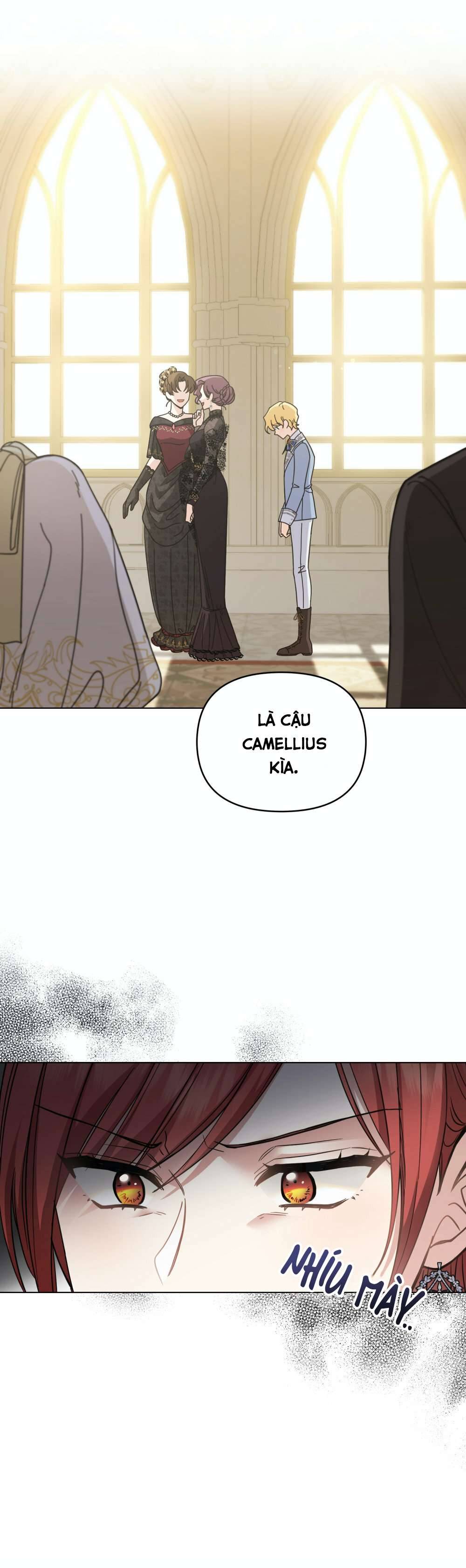 Tìm Lại Camellia Chapter 55 - Next Chapter 56