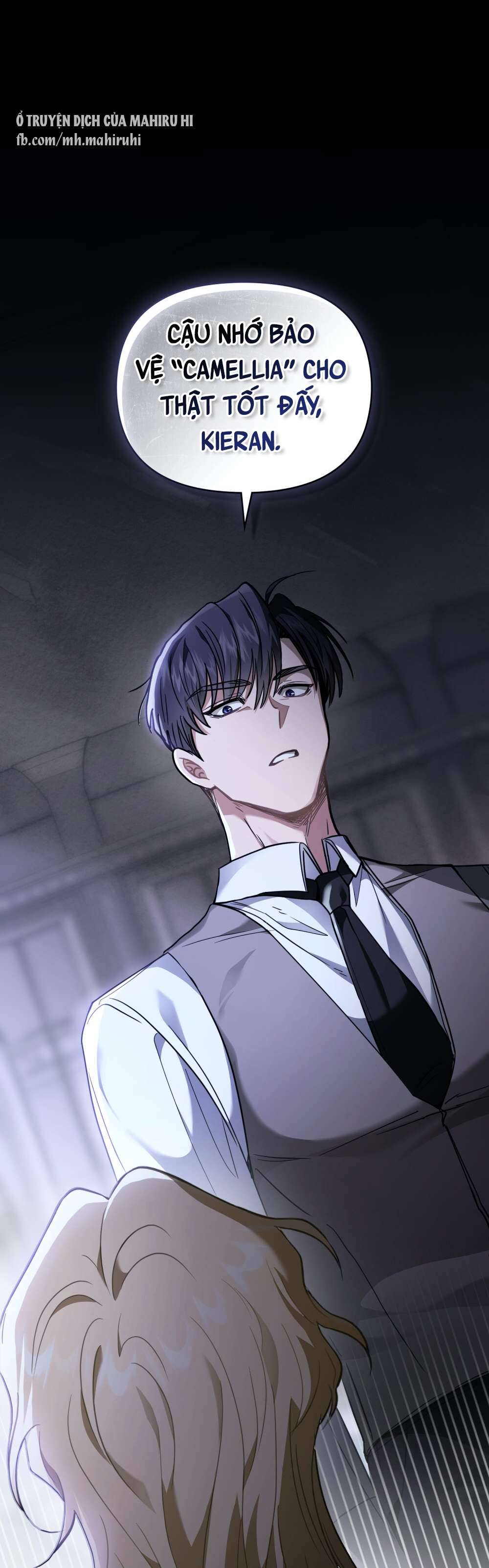 Tìm Lại Camellia Chapter 67 - Next Chapter 68